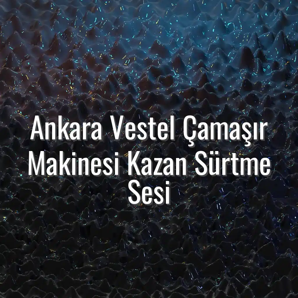 Ankara Vestel Çamaşır Makinesi Kazan Sürtme Sesi - Vestel çamaşır makinesi sürtme sesi