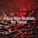 Ankara Miele Buzdolabı Ses Yapıyor - Ankara Miele buzdolabı ses yapıyor